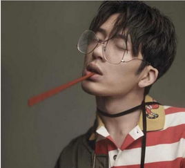 复古风金丝眼镜,张艺兴李易峰帅爆最后一位辣眼睛