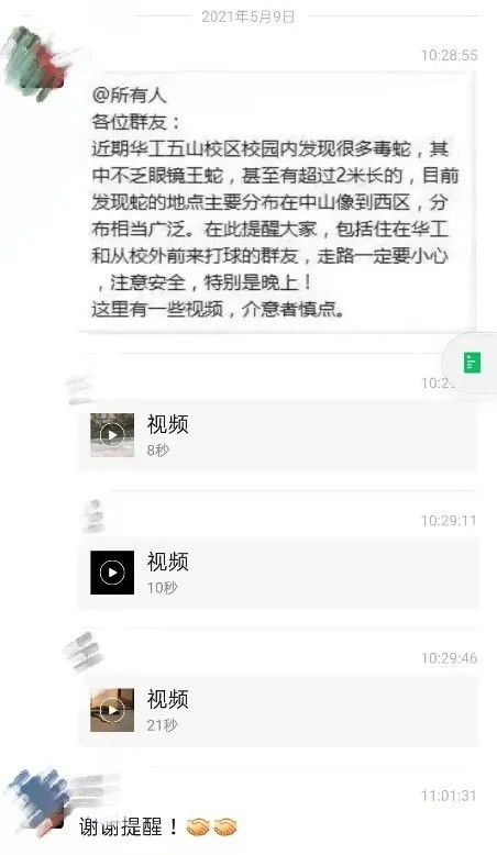 校园惊现近2米眼镜王蛇 广州某高校紧急处置确保师生安全